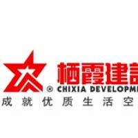 棲霞建設董事會決議公告 選舉江勁松為董事長、總裁及投資興辦實業